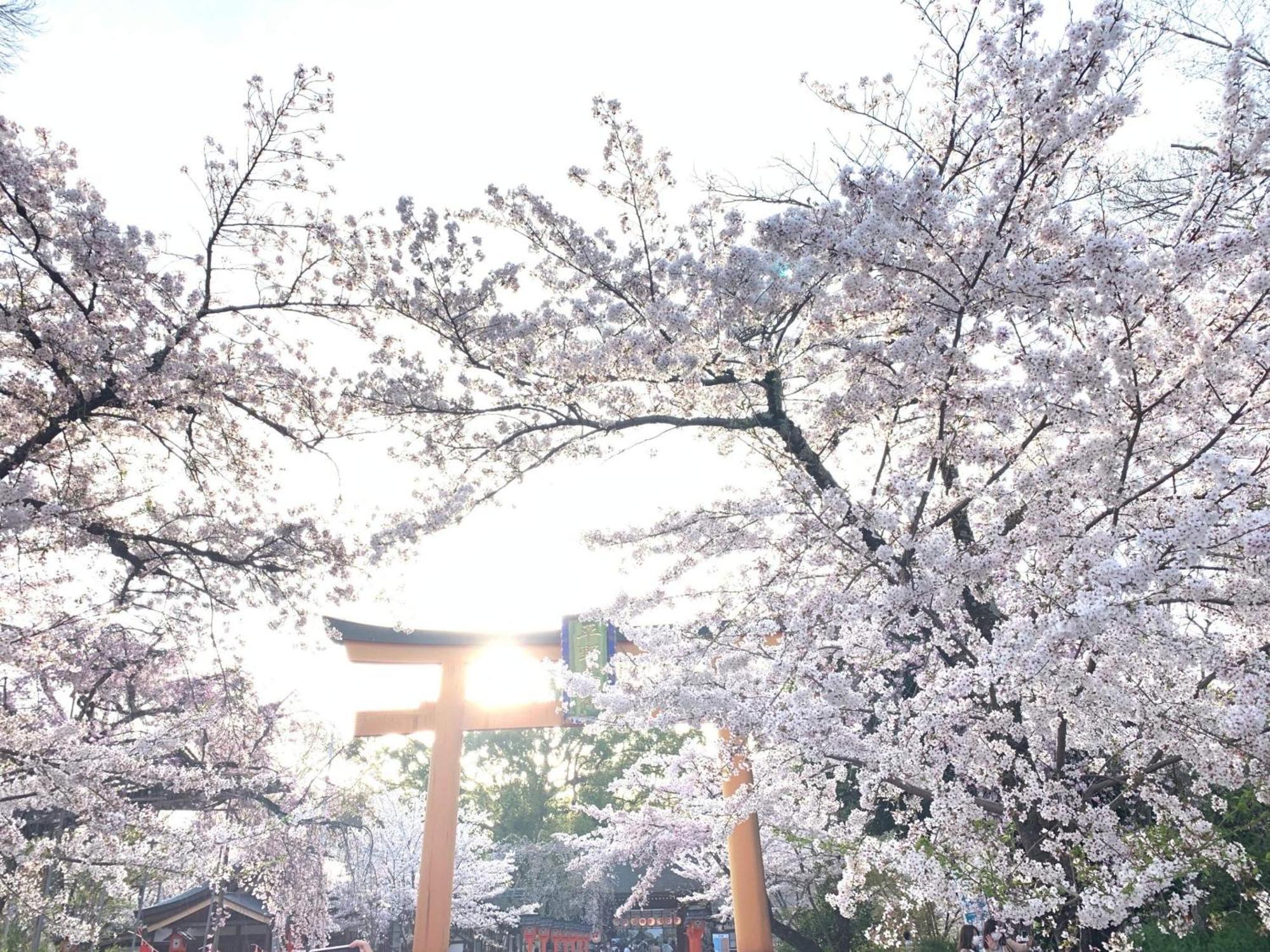 เคียวอุโนะยะโดะ ฮะนะ นิชิจิง Hotel เกียวโต ภายนอก รูปภาพ
